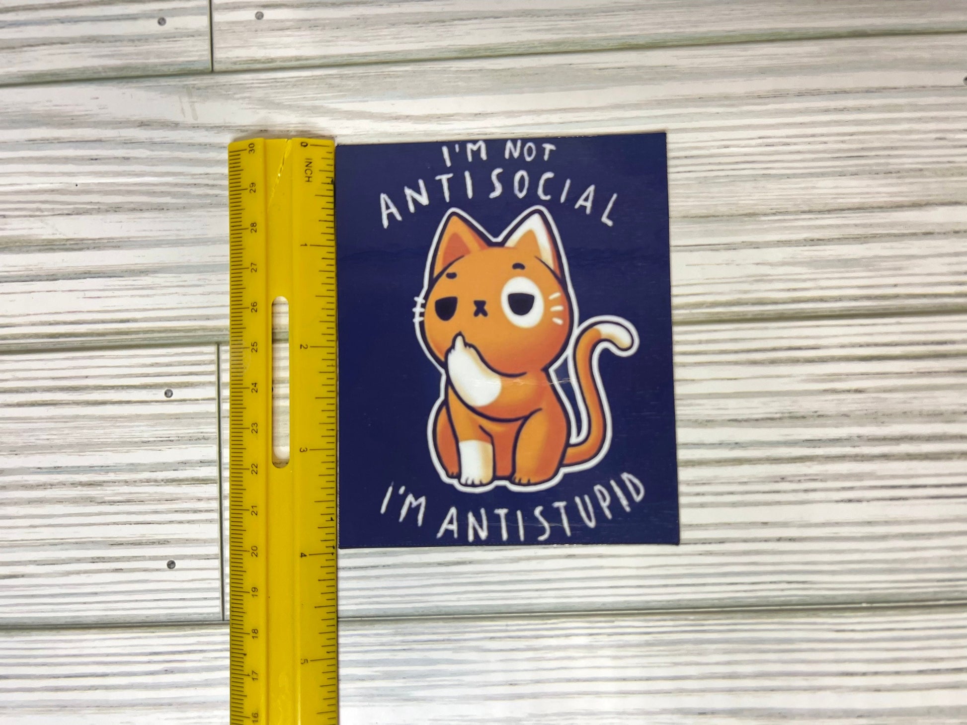 Magnet Fridge/Sticker- I'm not antisocial, I'm antistupid